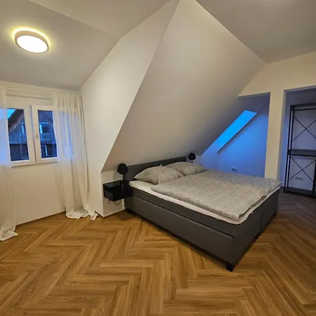 Cozy Living Apartment