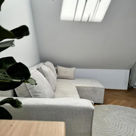 Apartment Cozy Living